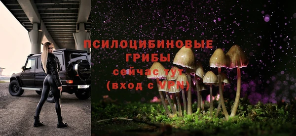 герыч Абаза