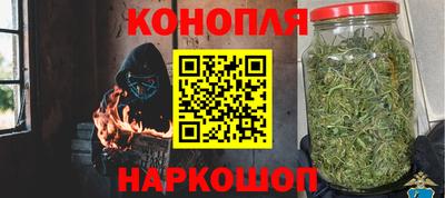 spice Кинель
