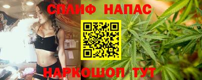spice Кинель