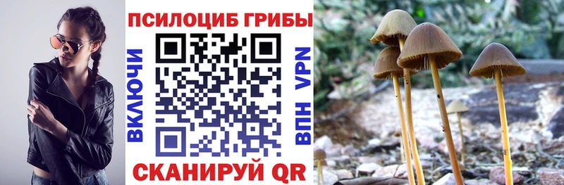 Псилоцибиновые грибы мицелий  Лангепас 