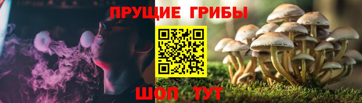Галлюциногенные грибы Magic Shrooms  Вход с VPN  Лангепас  Галлюциногенные грибы MAGIC MUSHROOMS 